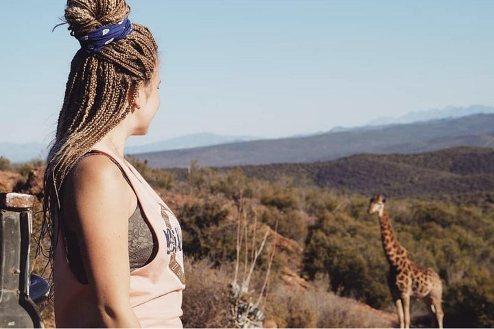 2 Day South African Wildlife Tour with 4x4 Safari from Cape Town - Photo 1 of 25